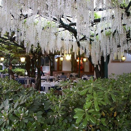 Albergo Ristorante Papa Peschiera del Garda Eksteriør billede