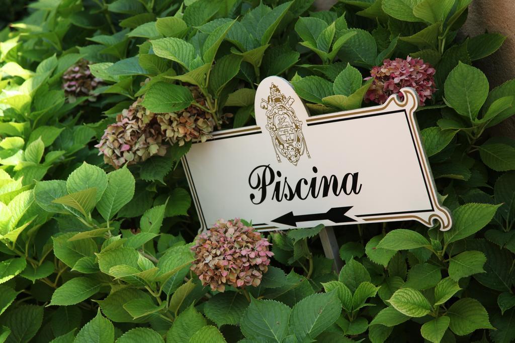 Albergo Ristorante Papa Peschiera del Garda Eksteriør billede