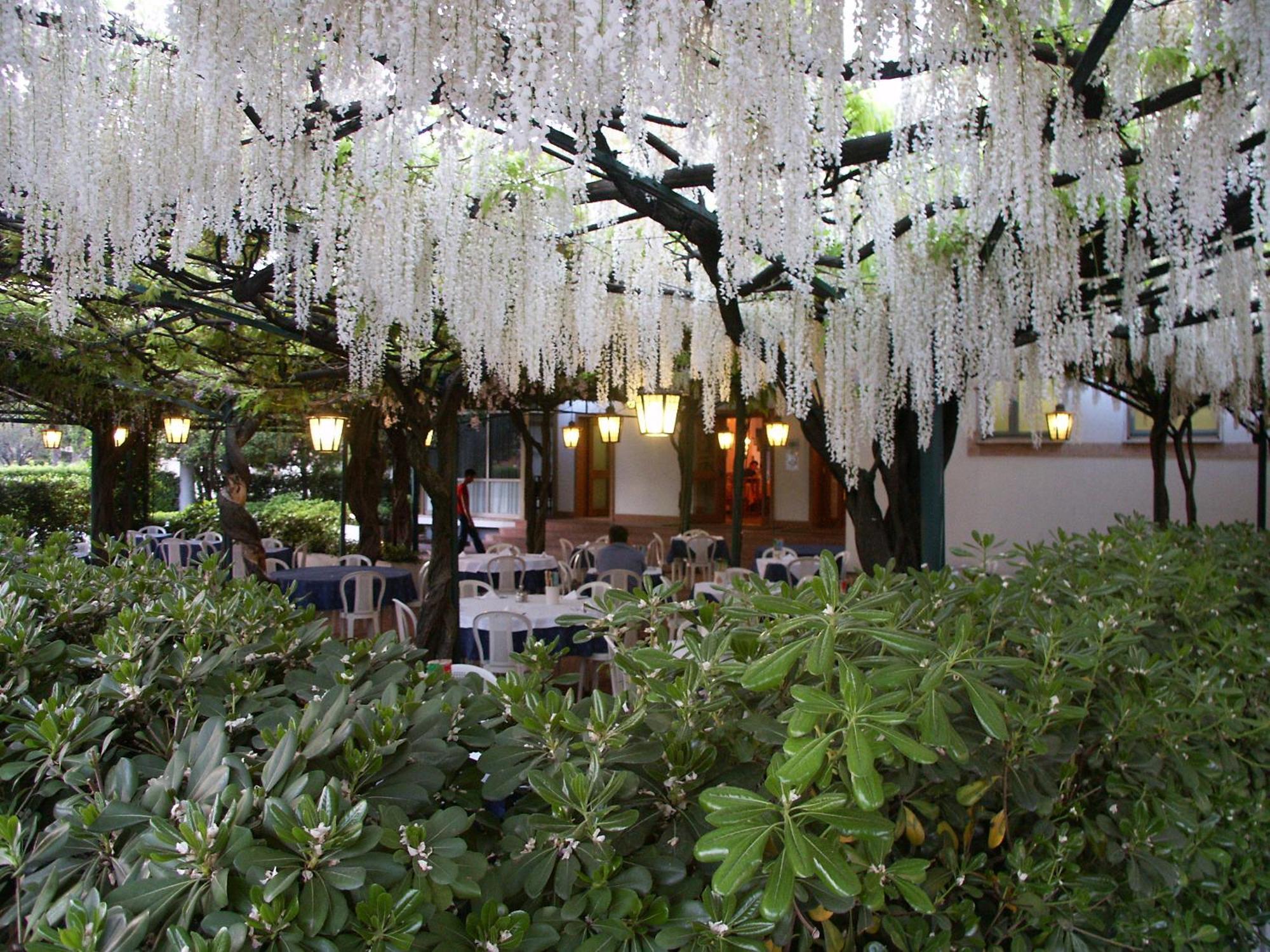 Albergo Ristorante Papa Peschiera del Garda Eksteriør billede