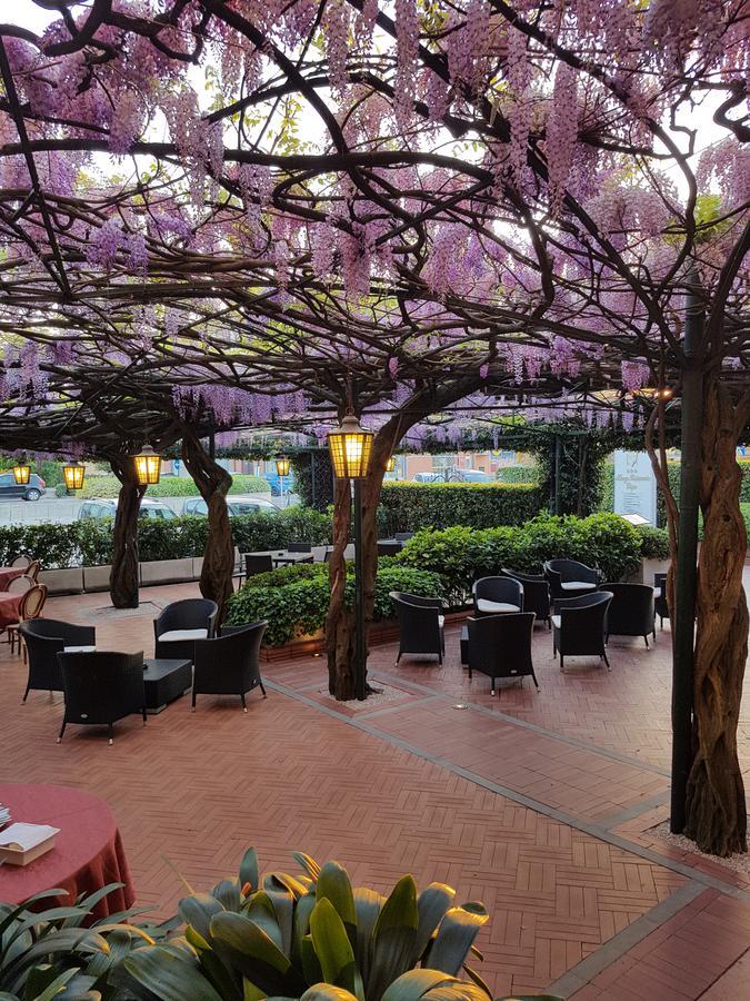Albergo Ristorante Papa Peschiera del Garda Eksteriør billede